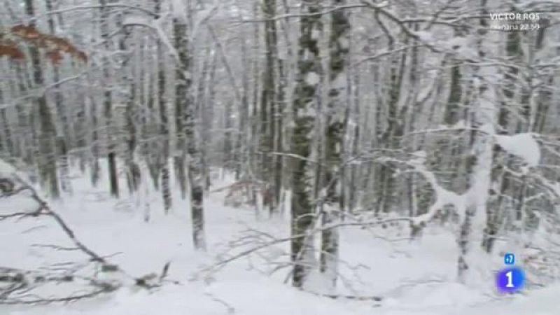 Comando Actualidad - Ole tu pueblo serrano - Picos de Europa