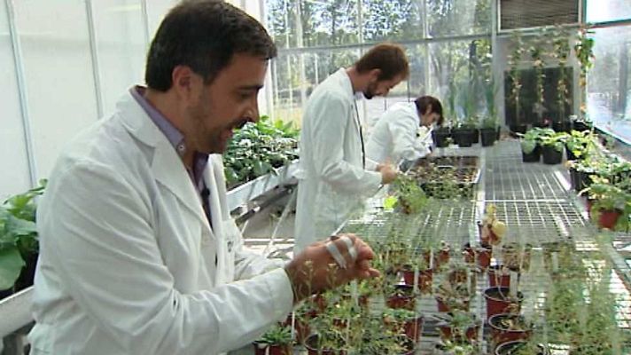 Aquí hay trabajo - Aquí hay trabajo - 09/12/16