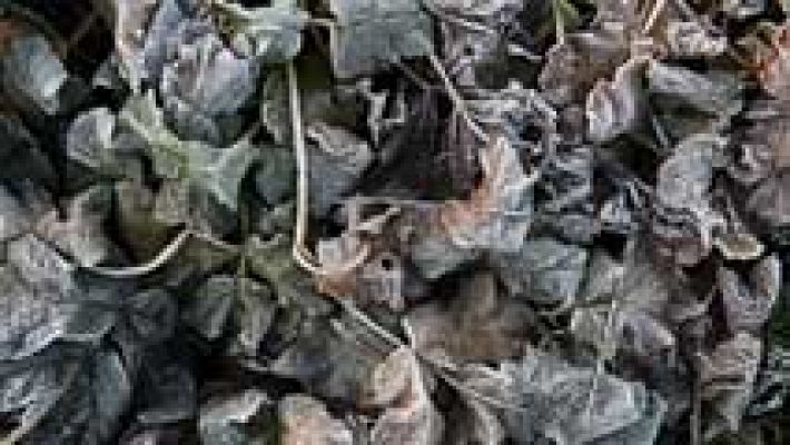 Informativo de Madrid - El Tiempo en la Comunidad de Madrid - 09/12/16