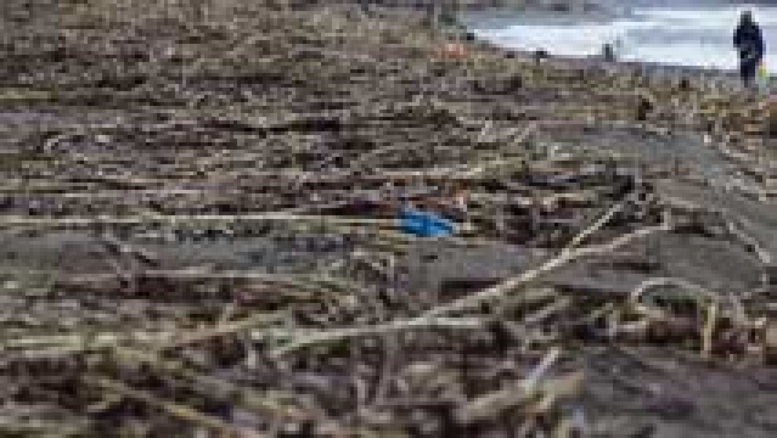 El Gobierno declara "zonas afectadas gravemente por emergencias" las provincias de Cádiz, Huelva, Málaga, Castellón, Valencia y Alicante