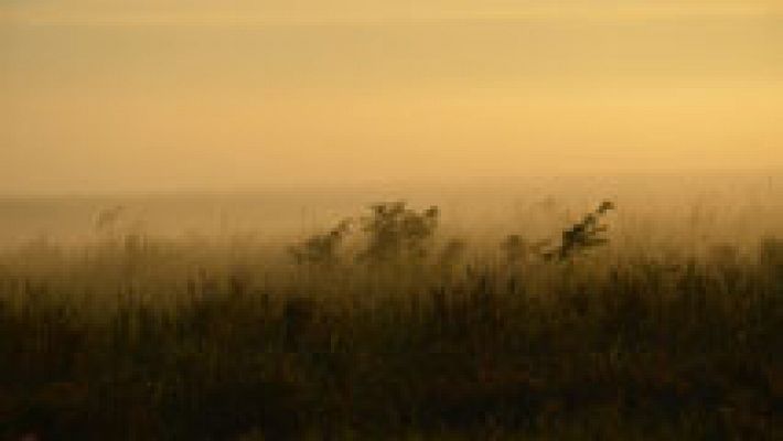 El tiempo - Temperaturas con pocos cambios