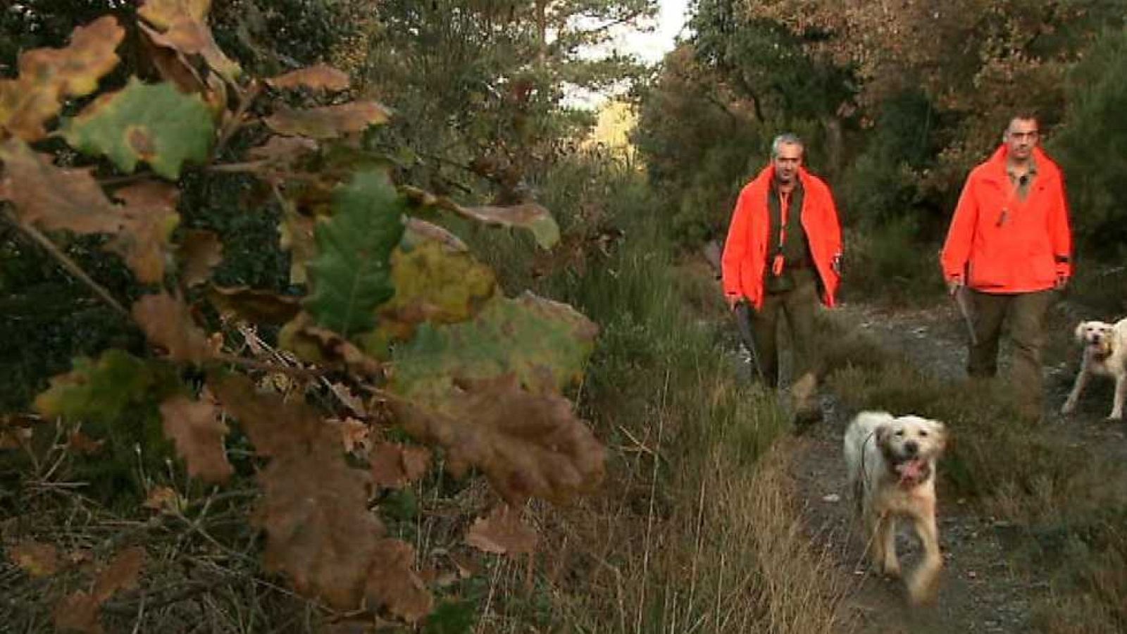 Jara y sedal - La becada de Tona - ver ahora