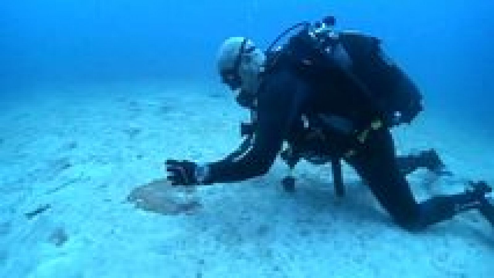 España en comunidad - 10/12/16 - ver ahora