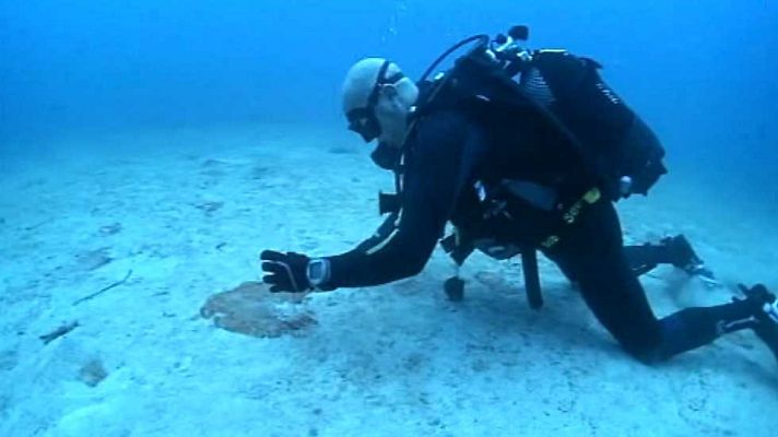 España en comunidad - España en comunidad - 10/12/16