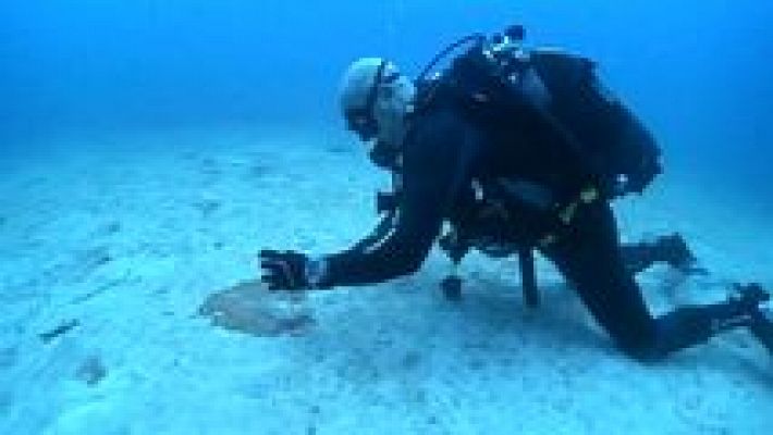 España en comunidad - España en comunidad - 10/12/16