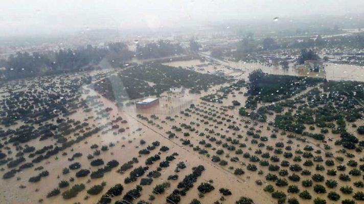 Agrosfera - Agrosfera - 10/12/16