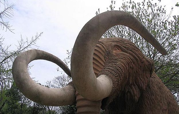 Ciencia y tecnología en Rtve.es - ¿Especies extinguidas para siempre?