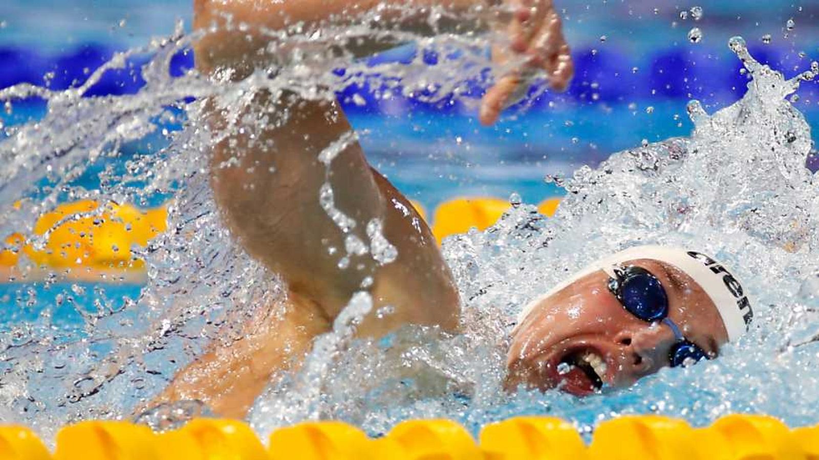 Natación - Campeonato del mundo piscina corta: sesión vespertina. Semifinales y finales - ver ahora