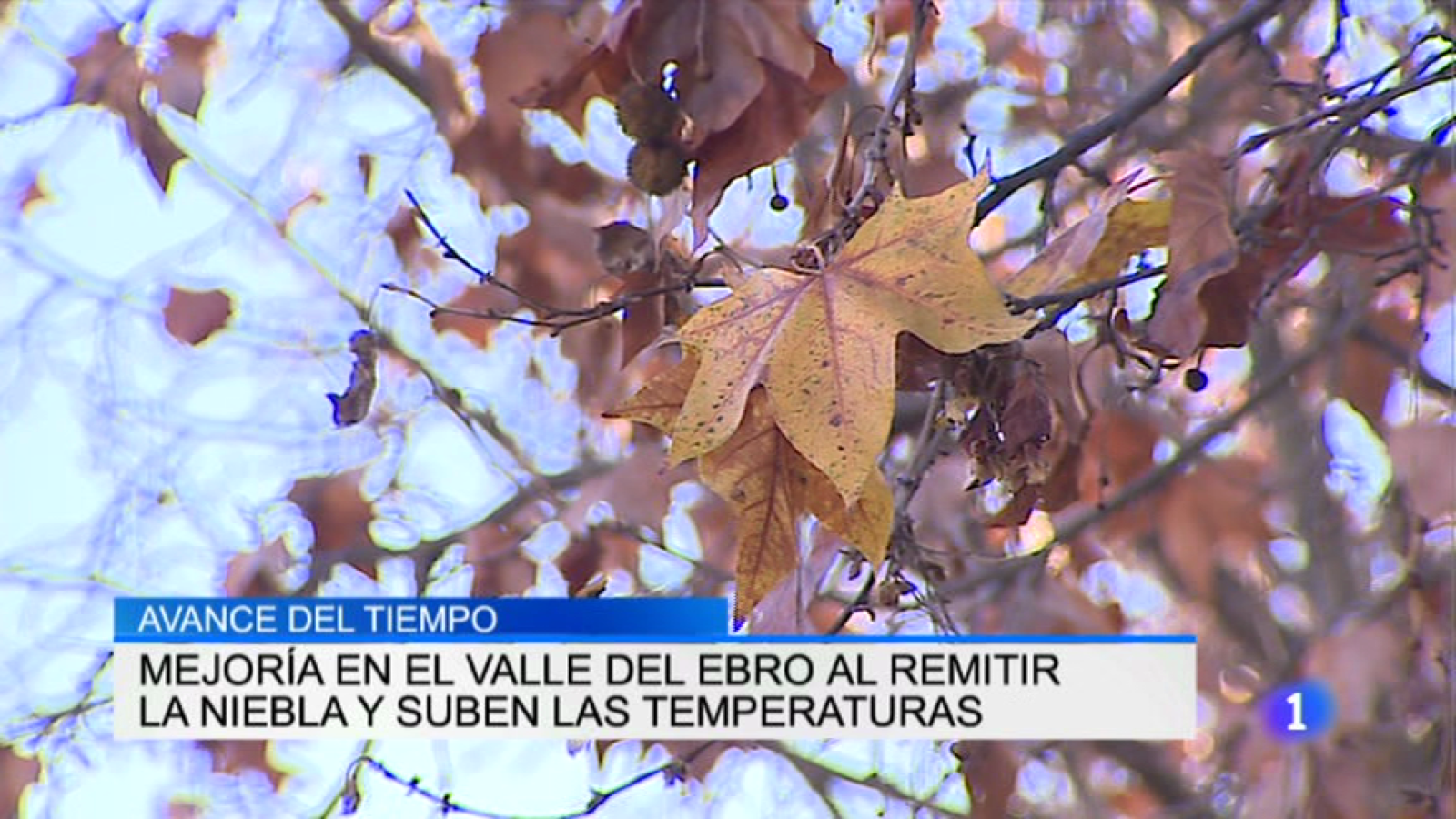 Informativo Telerioja 2 - 12/12/16