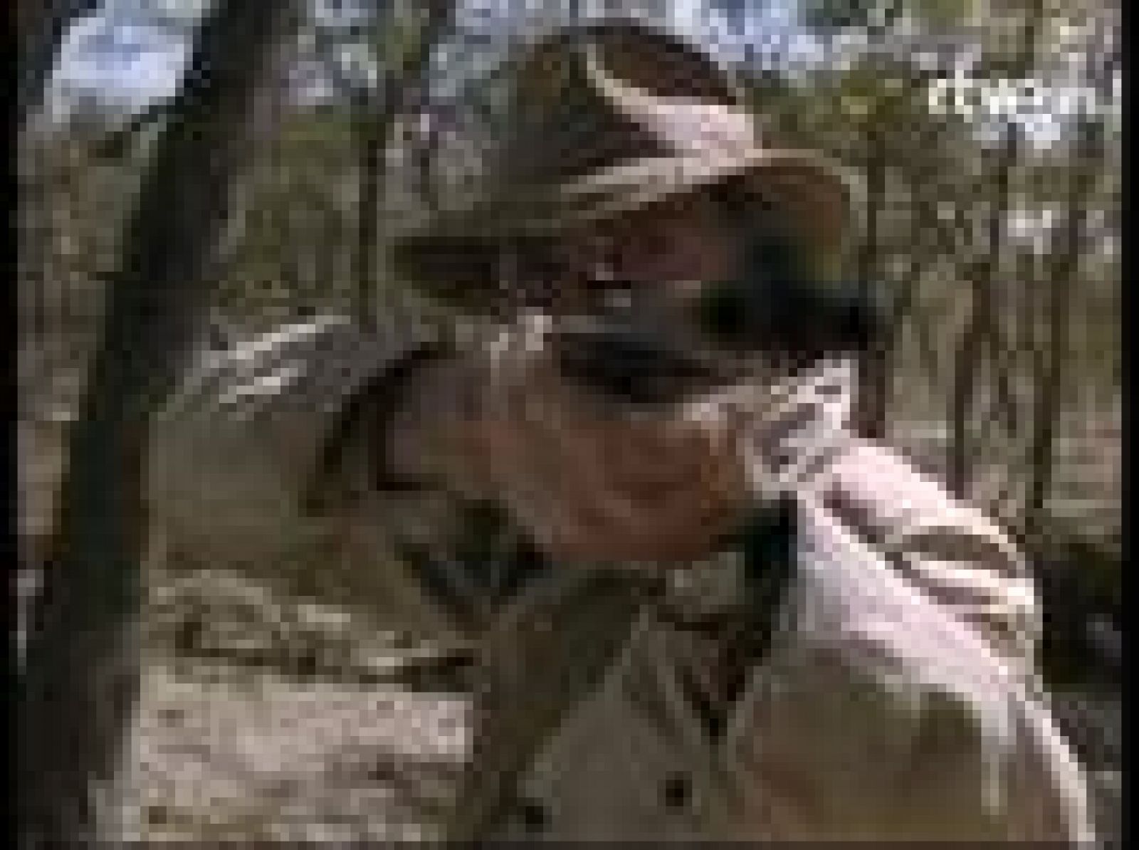 Días de cine - Clint Eastwood en "Días de cine" | Ver