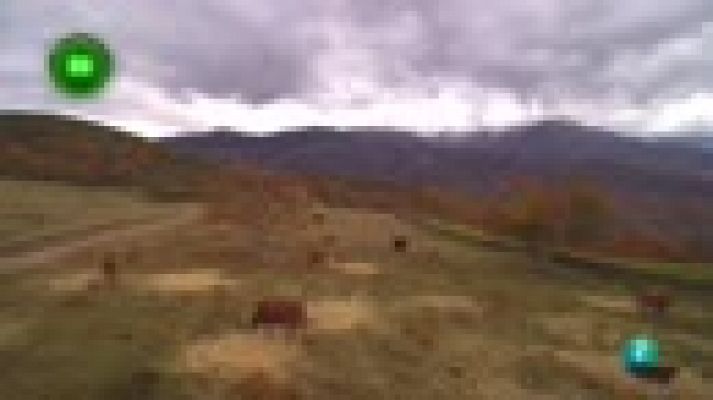 Agrosfera - Valle de ambroz, Cáceres