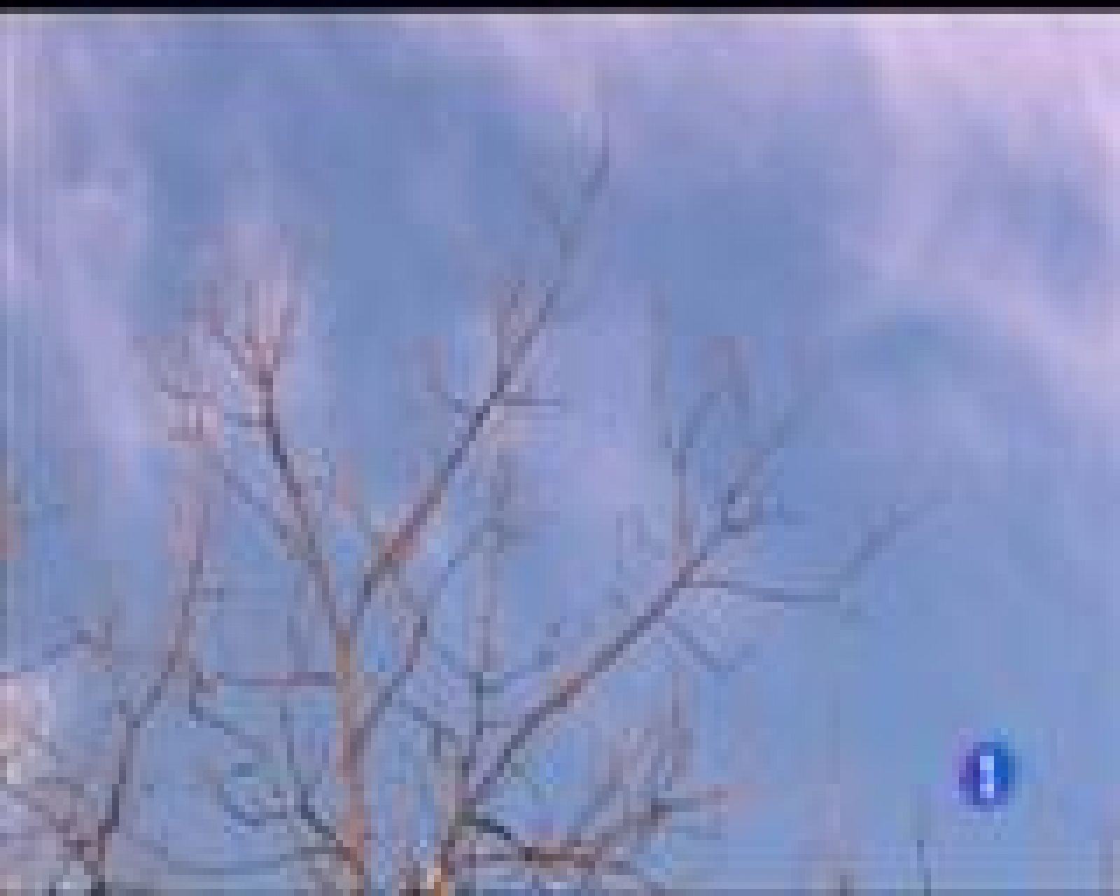 El tiempo en Asturias - 13/12/16 | Ver