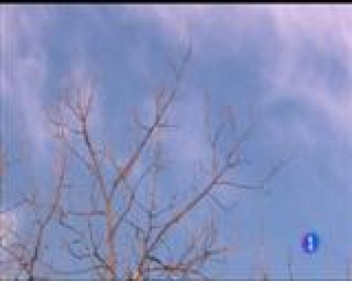 Panorama Regional - El tiempo en Asturias - 13/12/16