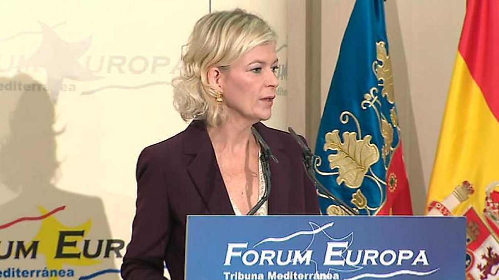 L'Informatiu - Comunitat Valenciana - 13/12/16 - ver ahora