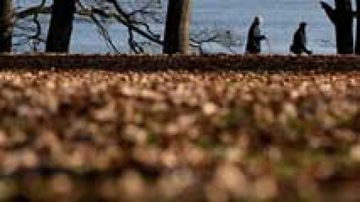 Informativo de Madrid - El Tiempo en la Comunidad de Madrid - 14/12/16