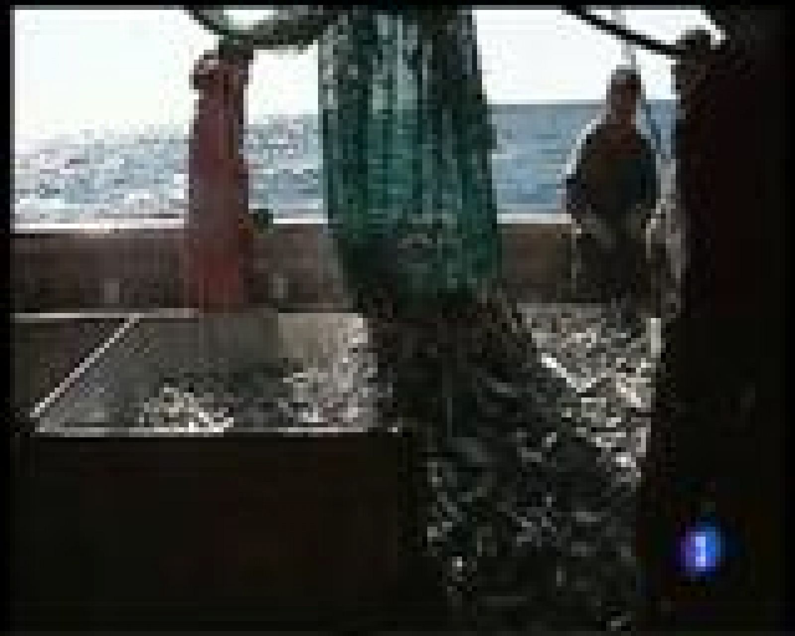 Panorama Regional 2 - 14/12/16 | Ver