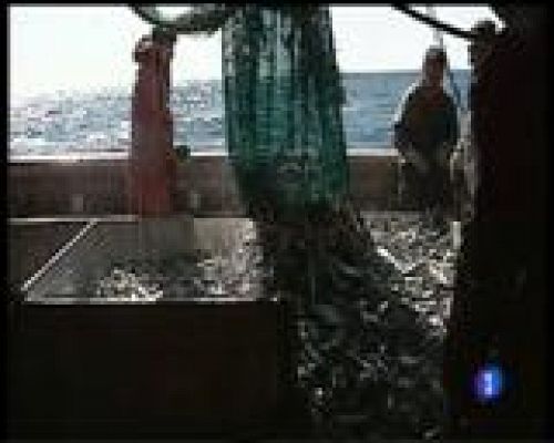 Panorama Regional - Panorama Regional 2 - 14/12/16