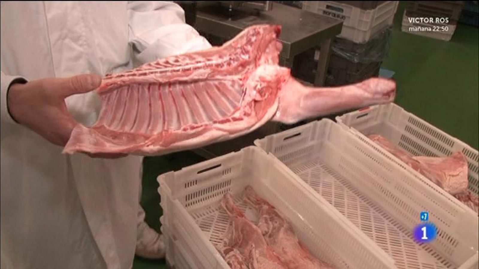 Comando Actualidad - Cordero de Zamora - Reportaje