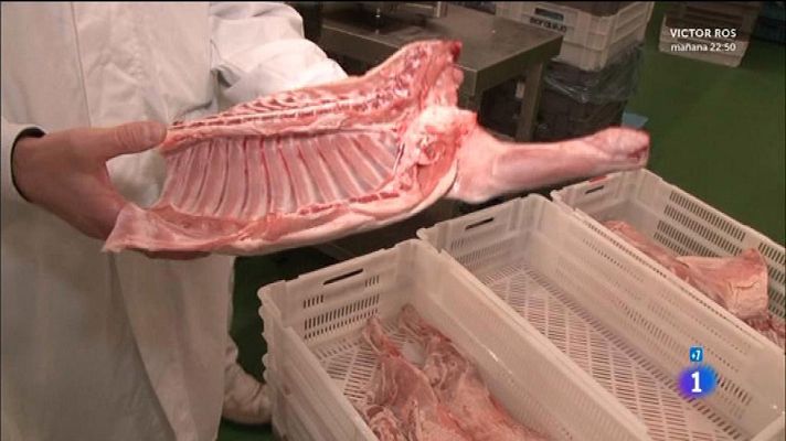 Comando Actualidad - Comando Actualidad - Cordero de Zamora - Reportaje