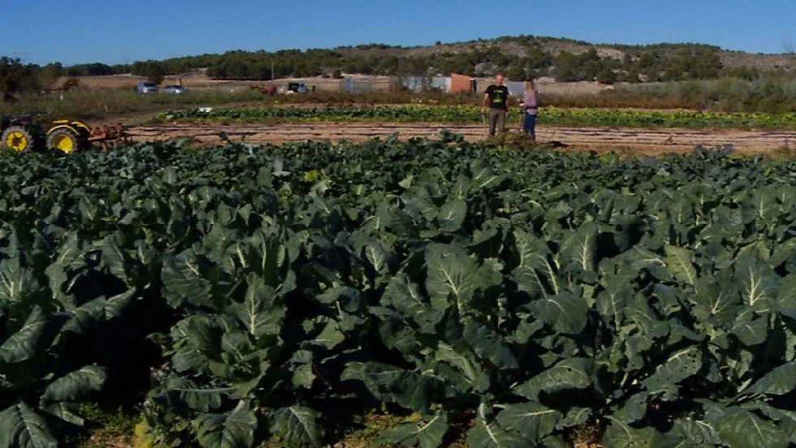 Aquí la Tierra - 16/12/16 - ver ahora