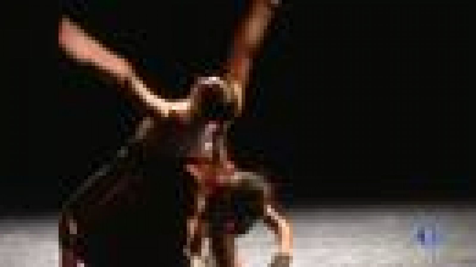 L'Informatiu: La companyia de dansa 'Thomas Noone Dance' del SAT de Barcelona fa 15 anys | RTVE Play
