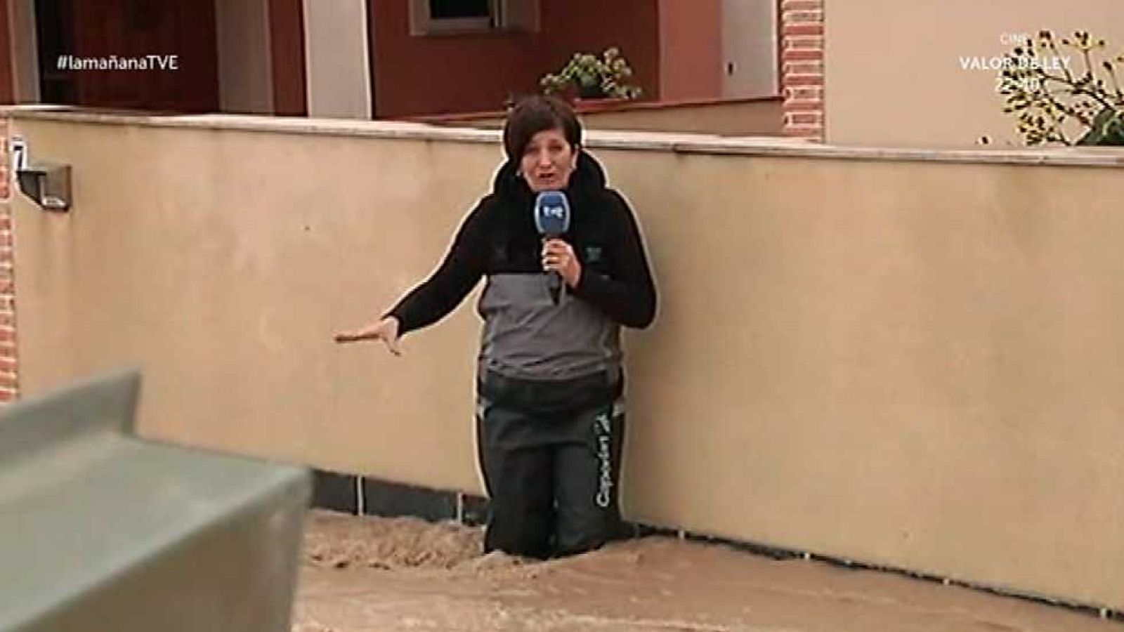 La Mañana -19/12/16 - ver ahora