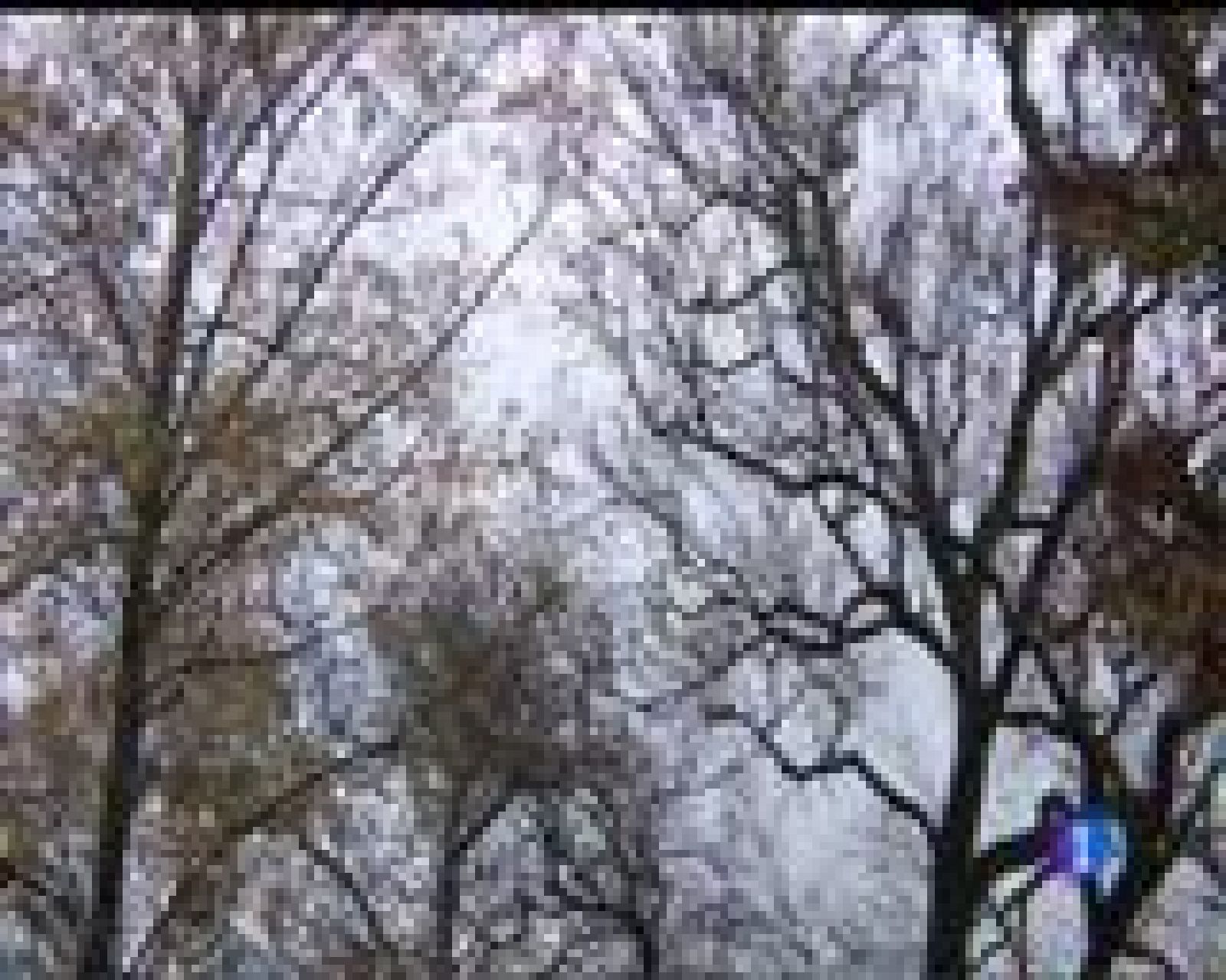 El tiempo en Asturias - 19/12/16 | Ver