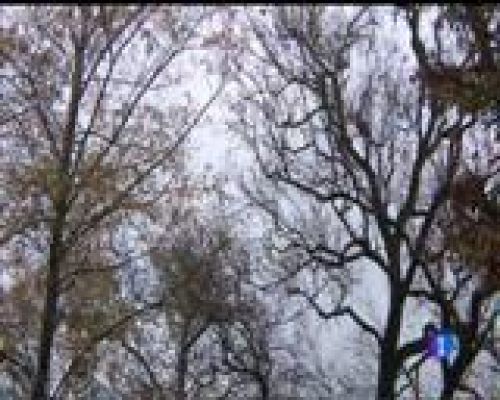 Panorama Regional - El tiempo en Asturias - 19/12/16