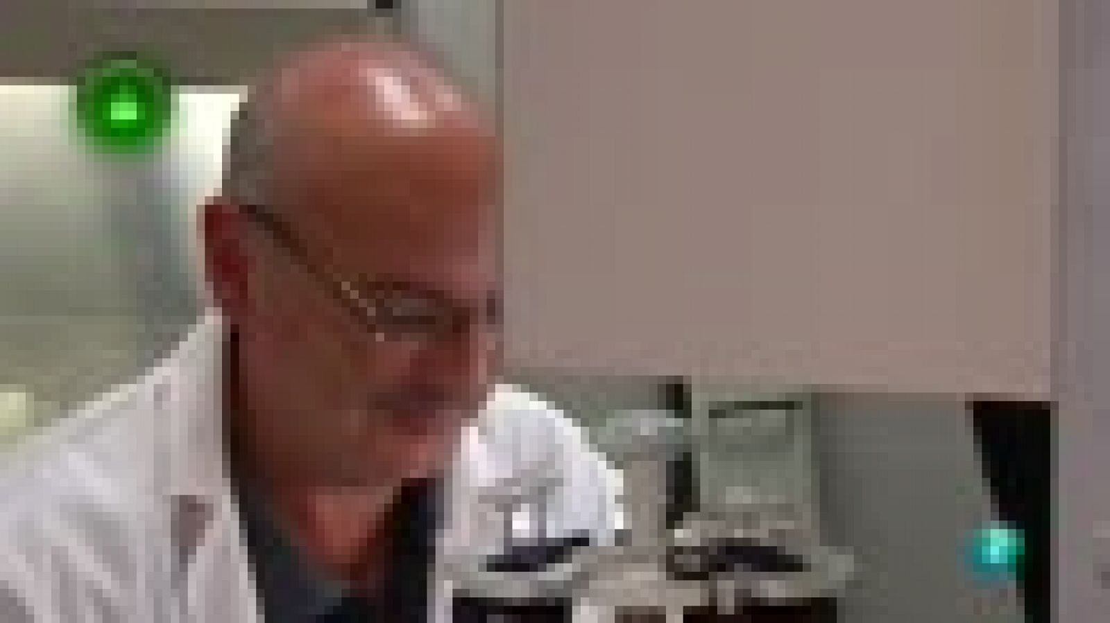 Agrosfera - Laboratorio de ideas - CRISPR CAS9