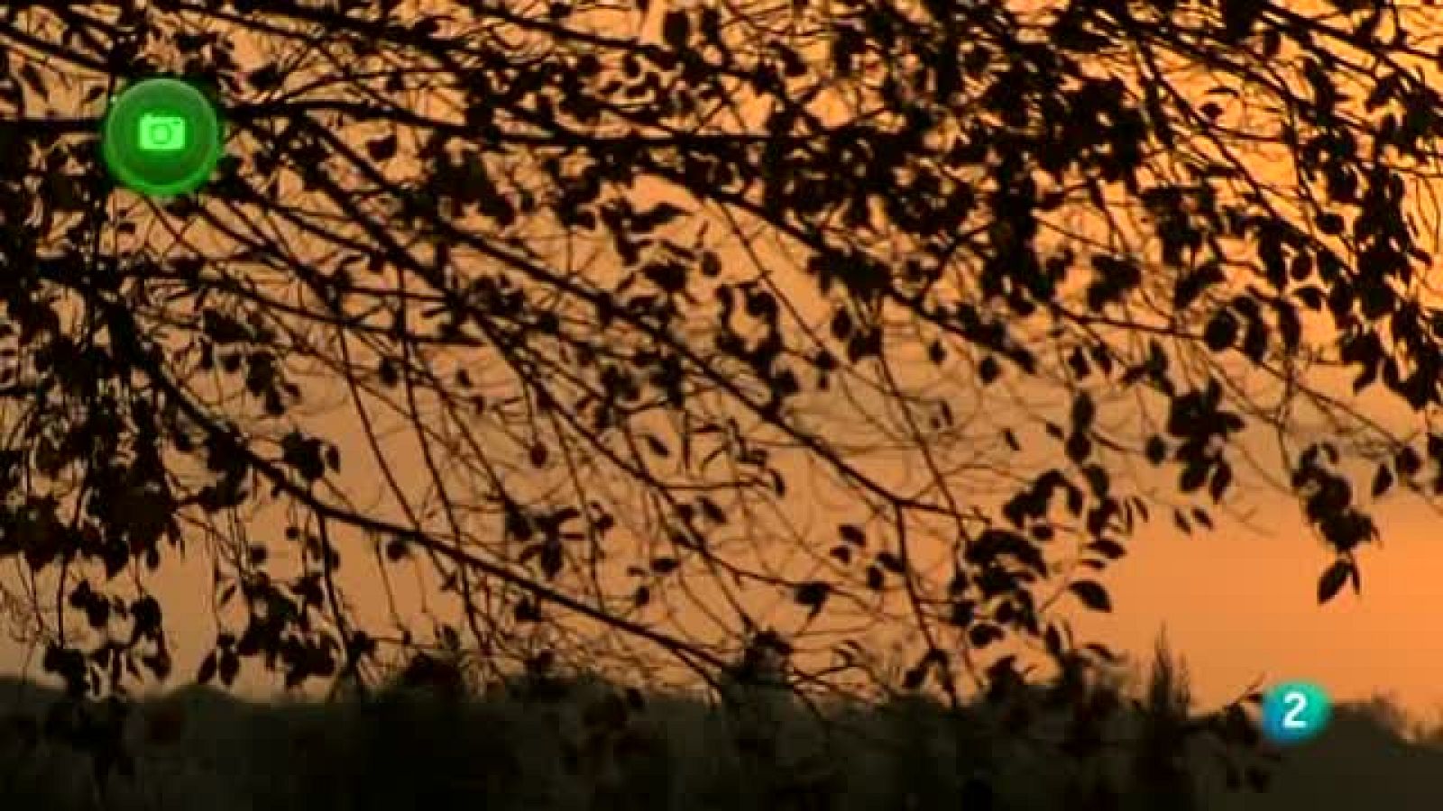 Agrosfera - En clave rural - Mendavia, Navarra
