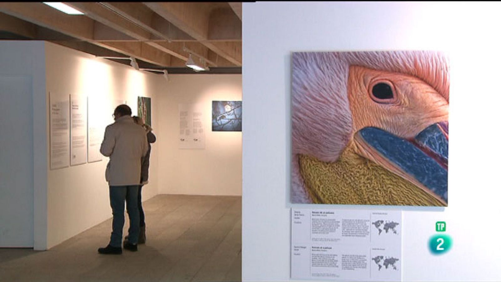 La Aventura del Saber. TVE. Wildlife Photographer of the Year 2016