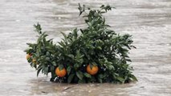 L'informatiu - Comunitat Valenciana - La Comunidad Valenciana en 2' - 20/12/16