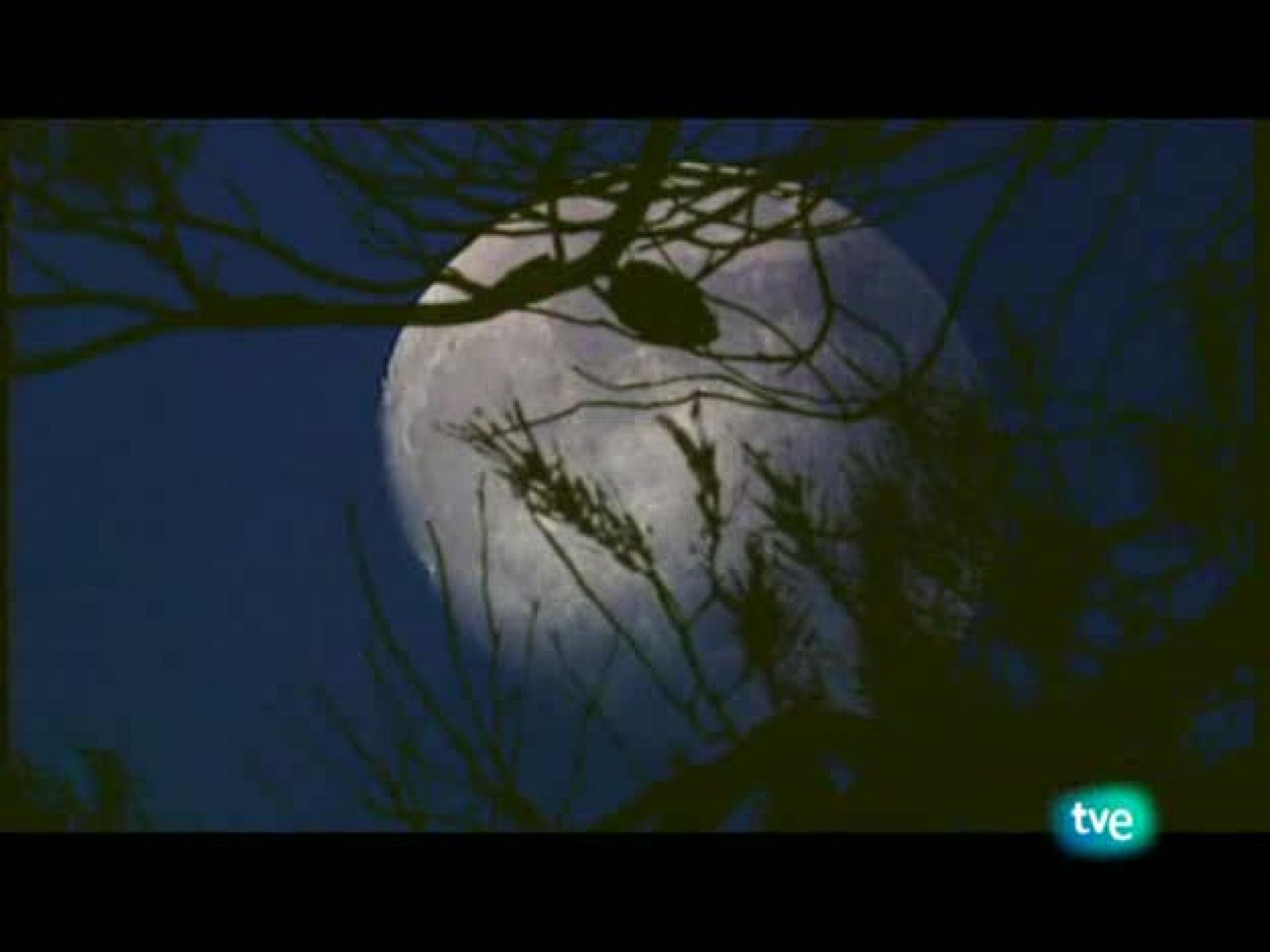 Jara y sedal - Compañeros de media veda - Jara y sedal | Ver