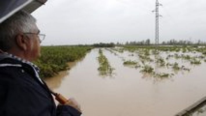 L'informatiu - Comunitat Valenciana - L'Informatiu - Comunitat Valenciana 2 - 20/12/16