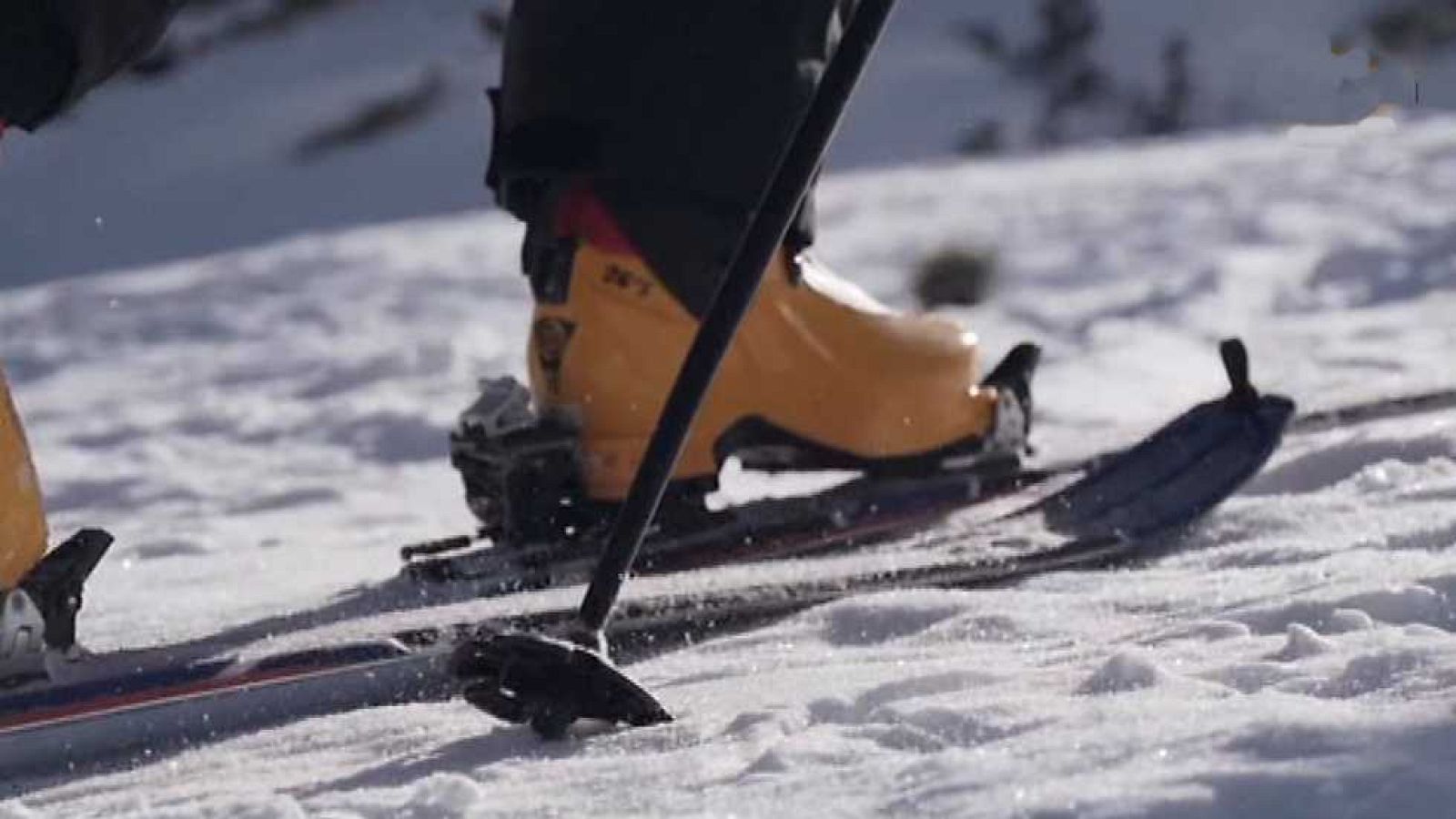 Evasión - T4 - Programa 22 - ver ahora