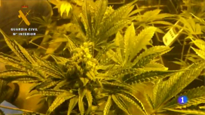 Informativo Telerioja - Informativo Telerioja 2 - 23/12/16