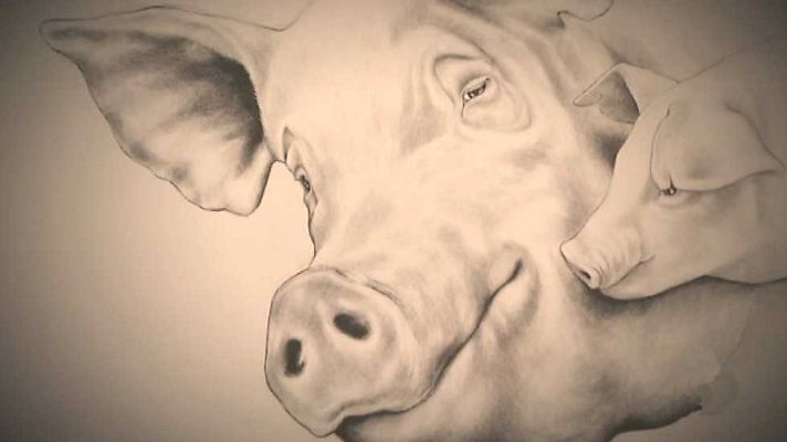 El escarabajo verde - Un magro dilema (II)