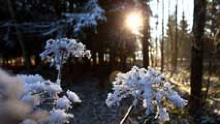 El tiempo - 16 provincias estarán en Nochebuena en alerta por niebla, viento y olas