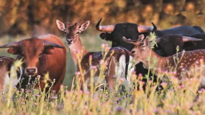 Tendido cero - Tendido Cero - 24/12/16