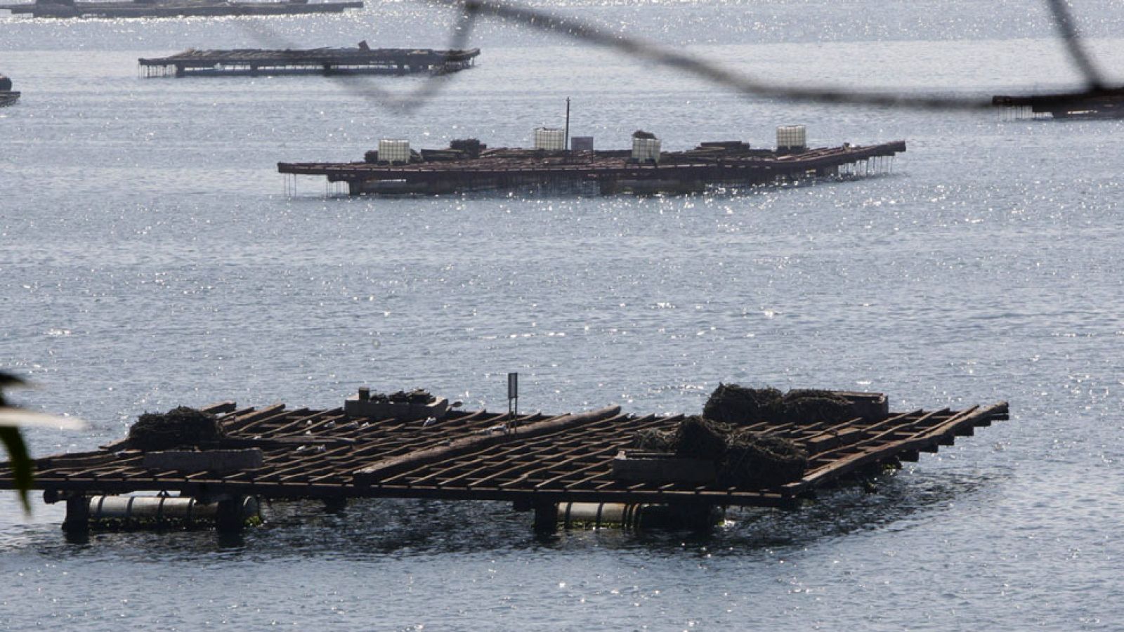 España es el primer productor europeo en acuicultura