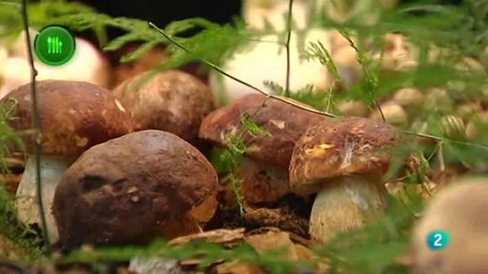 Agrosfera - Menú de Navidad