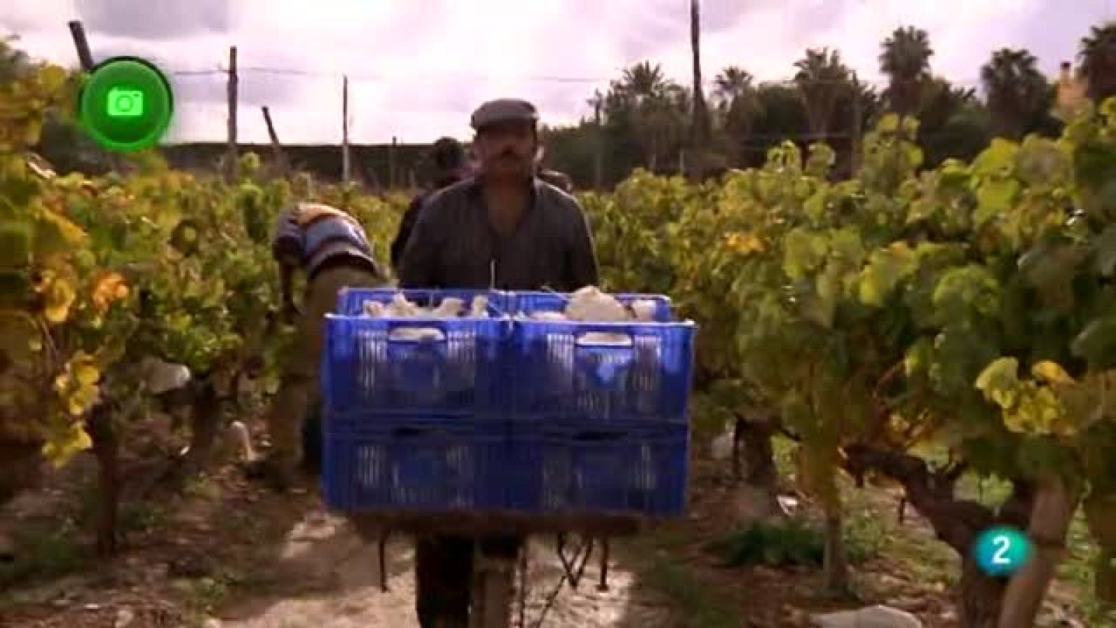 Agrosfera - En clave rural - Novelda, Alicante