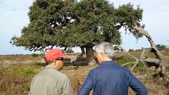 Lab24 - Ecología en Doñana y Einstein por España
