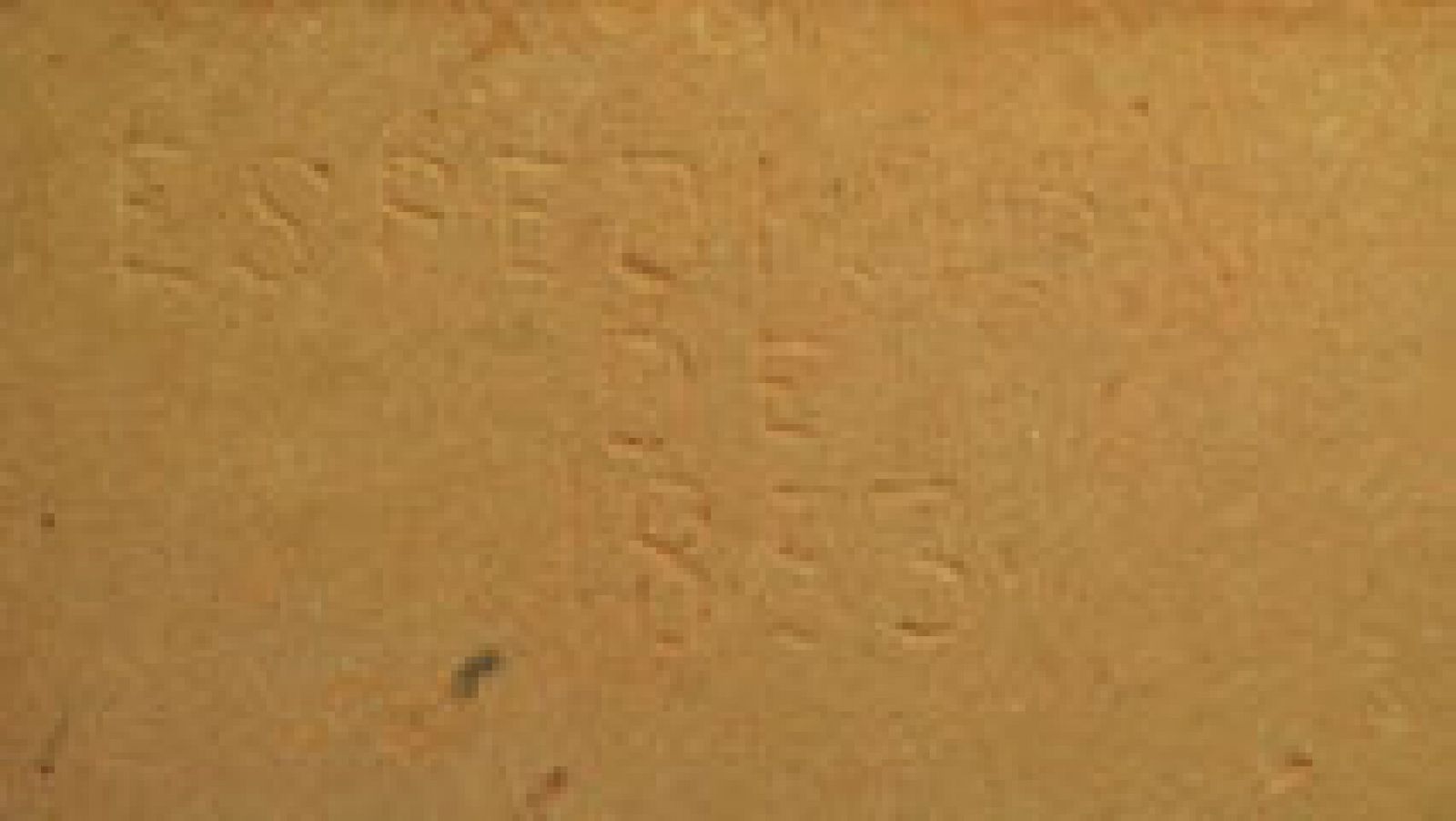 Grafitis del S.XIX en la fachada de la Universidad de Salamanca