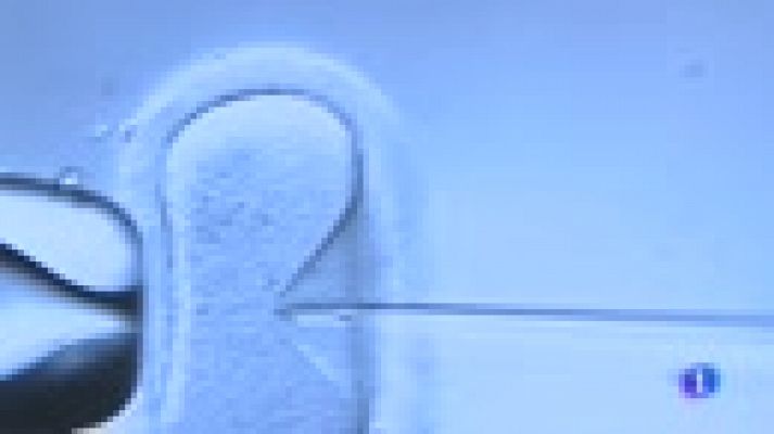 Telediario 1 - Un hospital holandés investiga si 26 mujeres fueron inseminadas con esperma diferente al de sus parejas