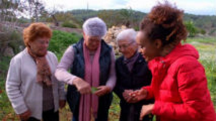 La vida secreta de las plantas