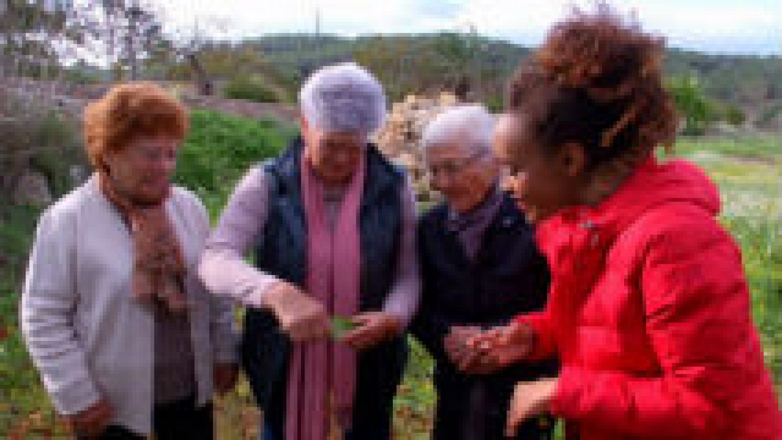  La vida secreta de las plantas