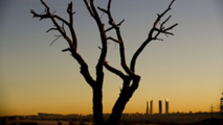 Informativo de Madrid - El Tiempo en la Comunidad de Madrid - 30/12/16