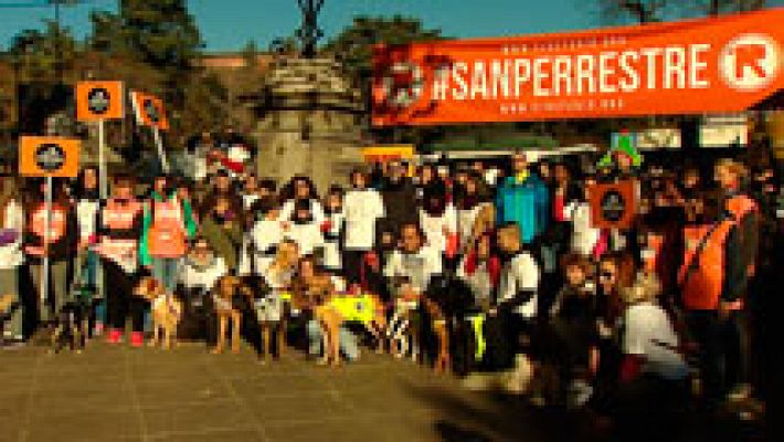 Informativo de Madrid - Informativo de Madrid 2 - 30/12/16