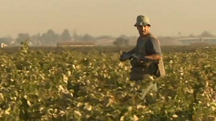 Jara y sedal - Jornadas APEGA